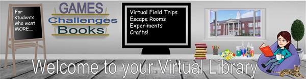 Virtual enrichment library